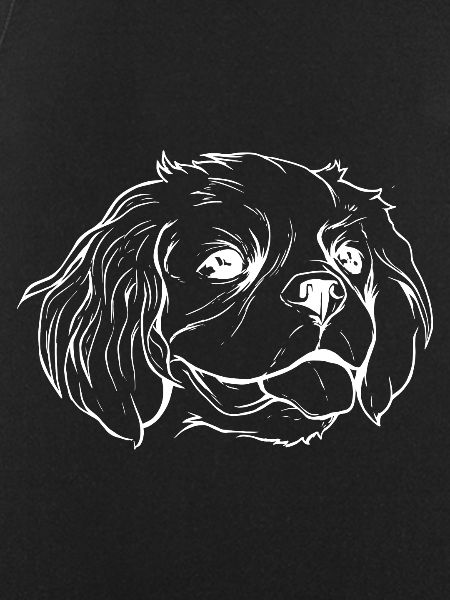 Cavalier Dog