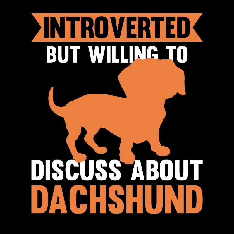 Introverti mais prêt à discuter du teckel