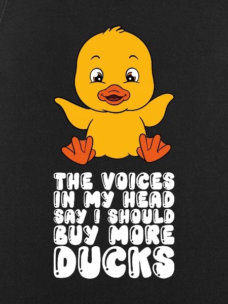 Funny duck Cute ducks