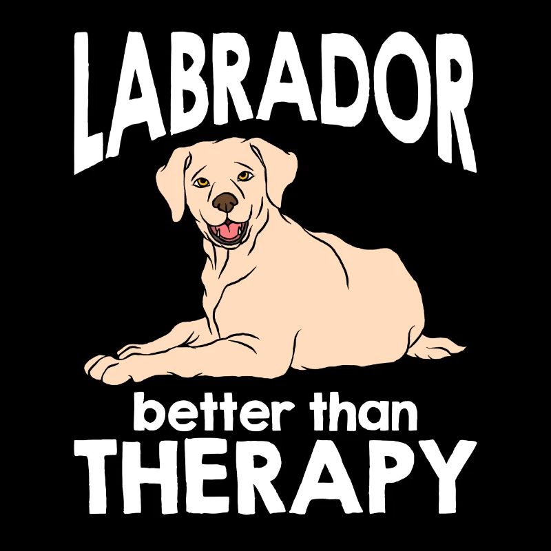 Labrador Chien Labrador Retriever