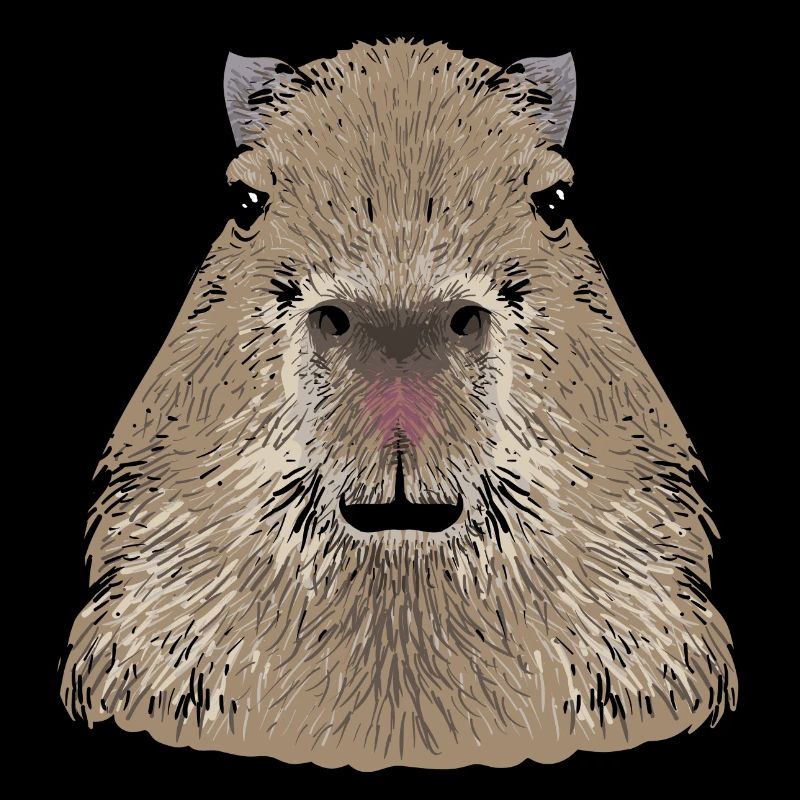 Capybara rodent