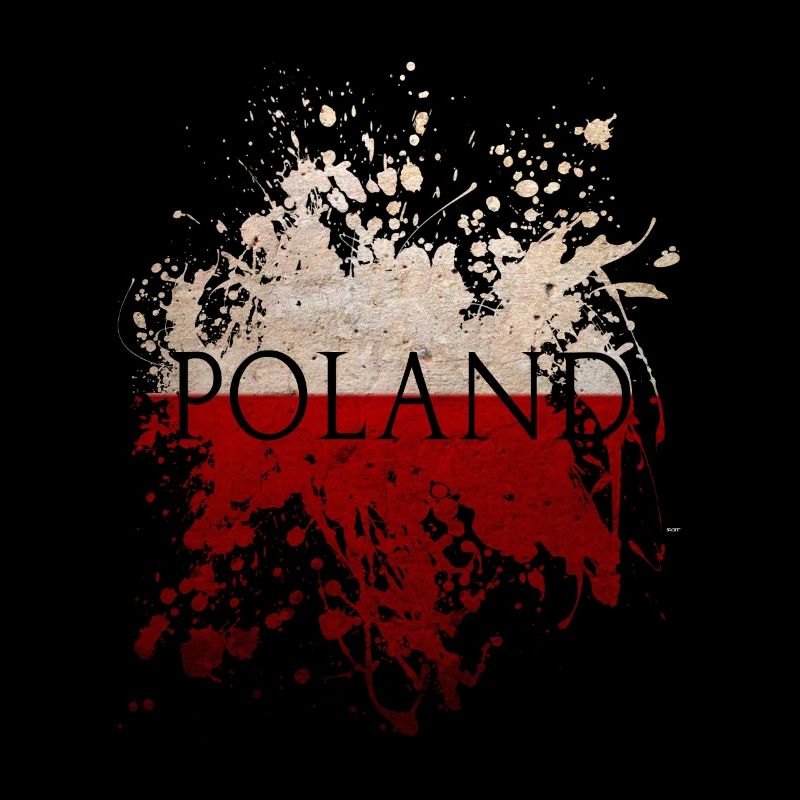 Drapeau pologne drapeau pologne