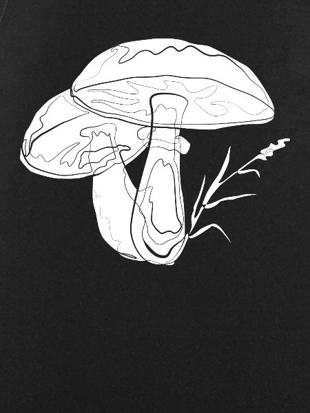 Fungi