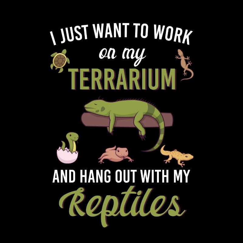 Reptilien Echse Bartagamen Gecko Geschenkidee