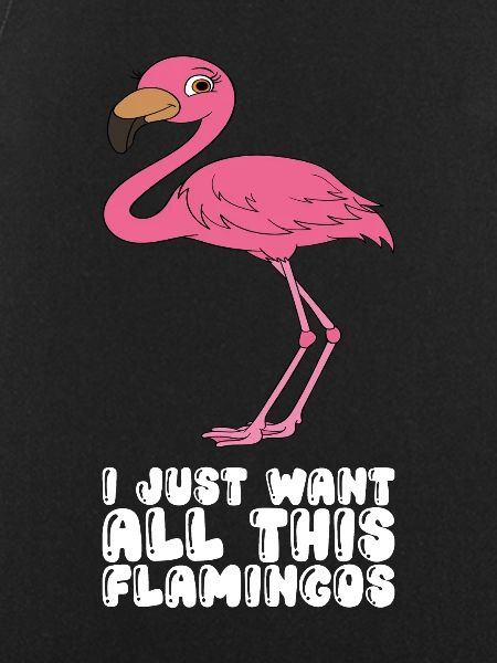 Funny flamingo graphics