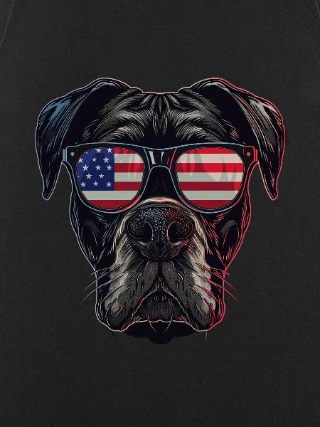 Boxer with American Sunglasses