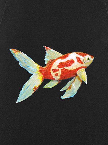 Comet tail goldfish