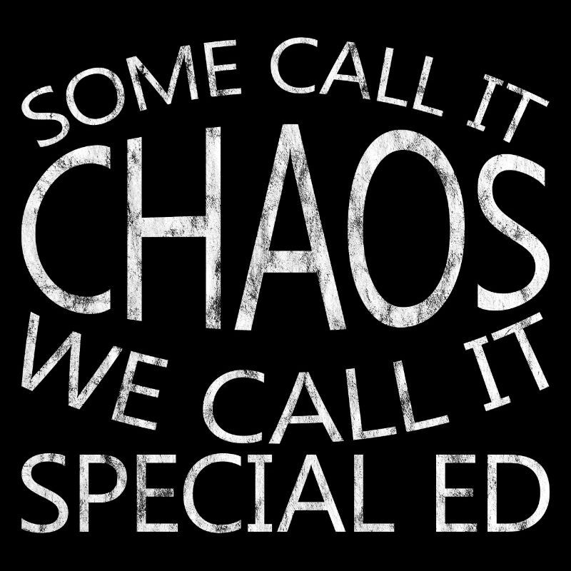 Some Call It Chaos We Call It Special Ed 3