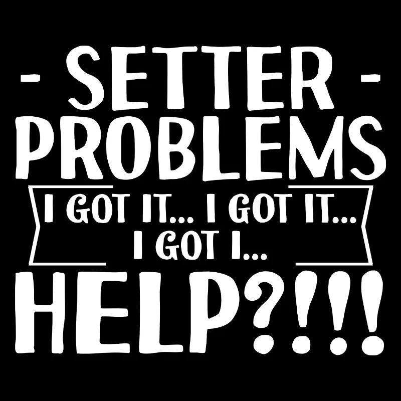 Setter Problems I Got It I Got It I Got It Help4