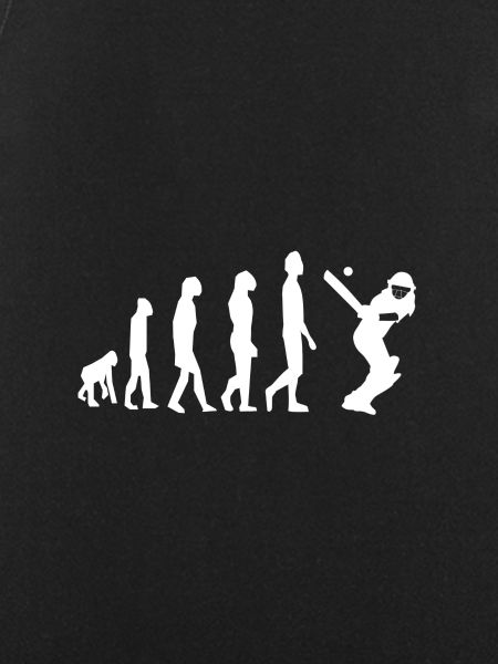 Cricket evolution