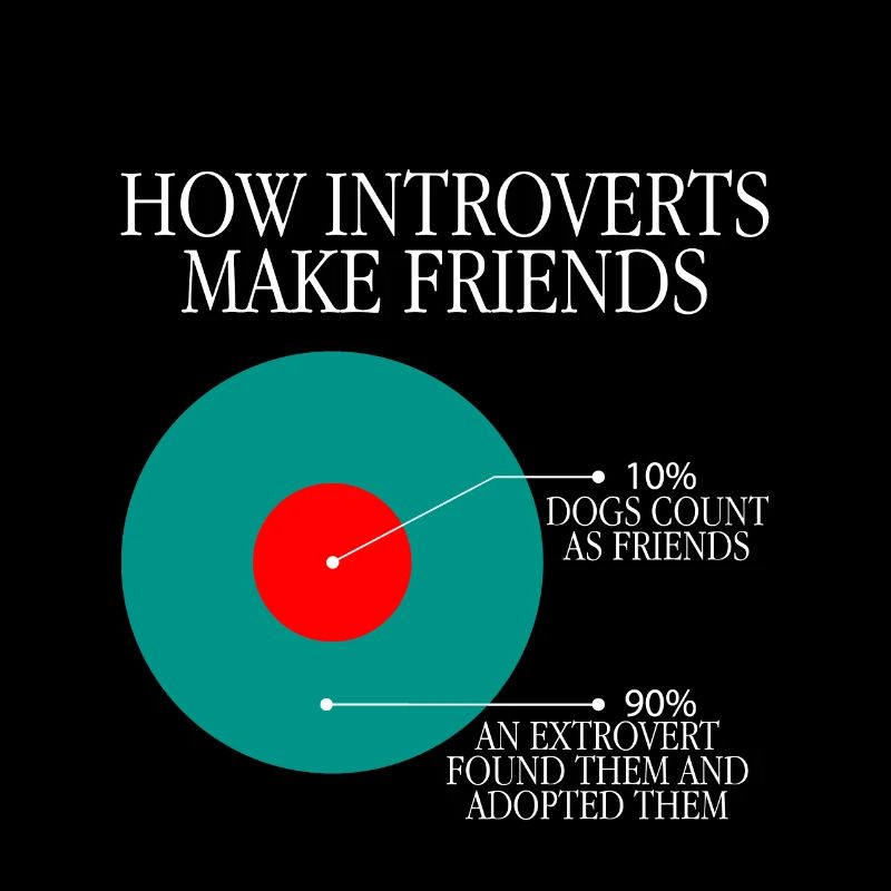 Comment les introvertis se font des amis 3