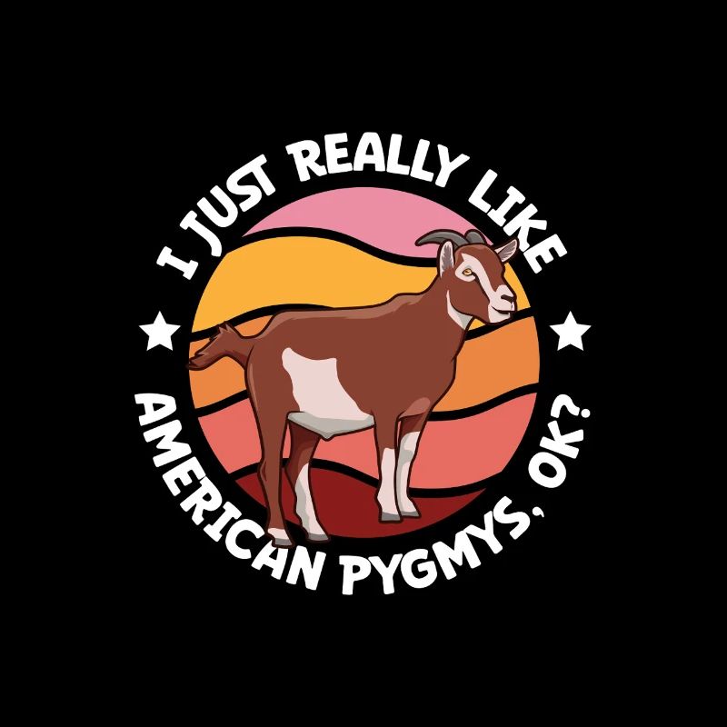 J’adore mon pygmée américain