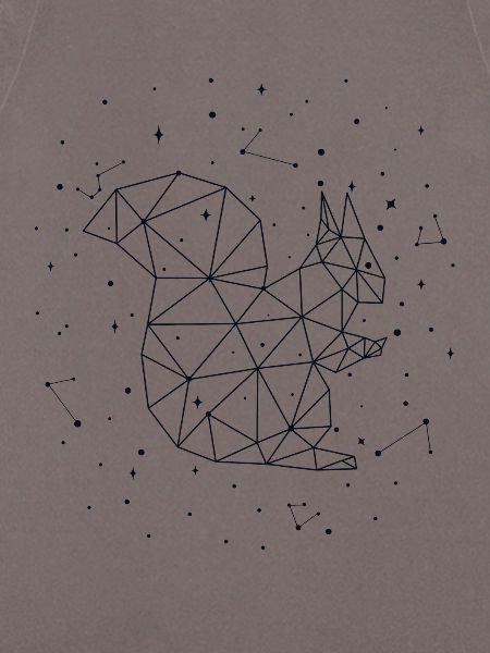Sternbild Squirrel Constellation Squirrel