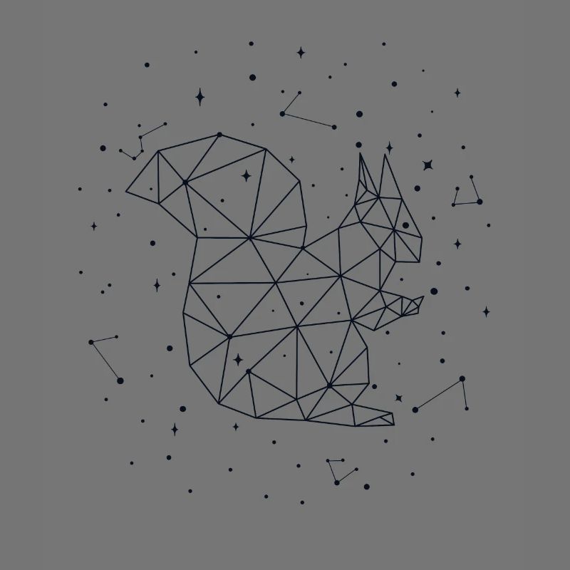 Constellation Squirrel Constellation Squirrel