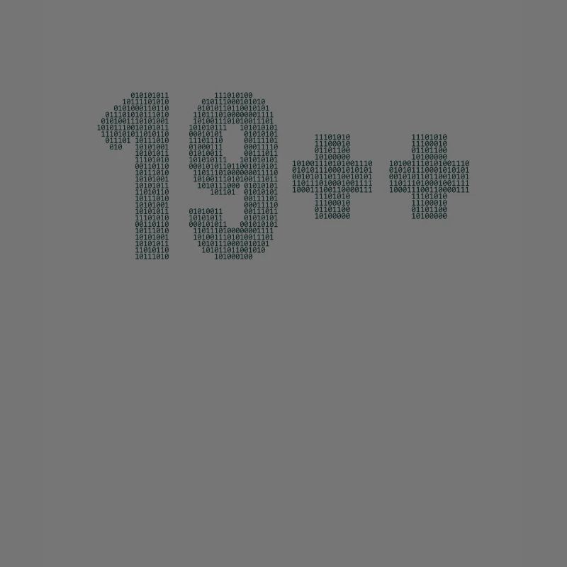 19++ Programmeur Ingénieur logiciel Codeur 20e