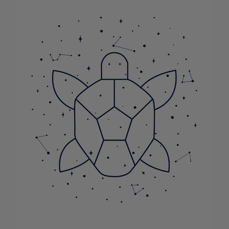 Constellation Aquatic Turtle constellation