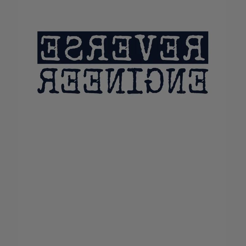 Reverse Engineer Softwareingenieur Developer