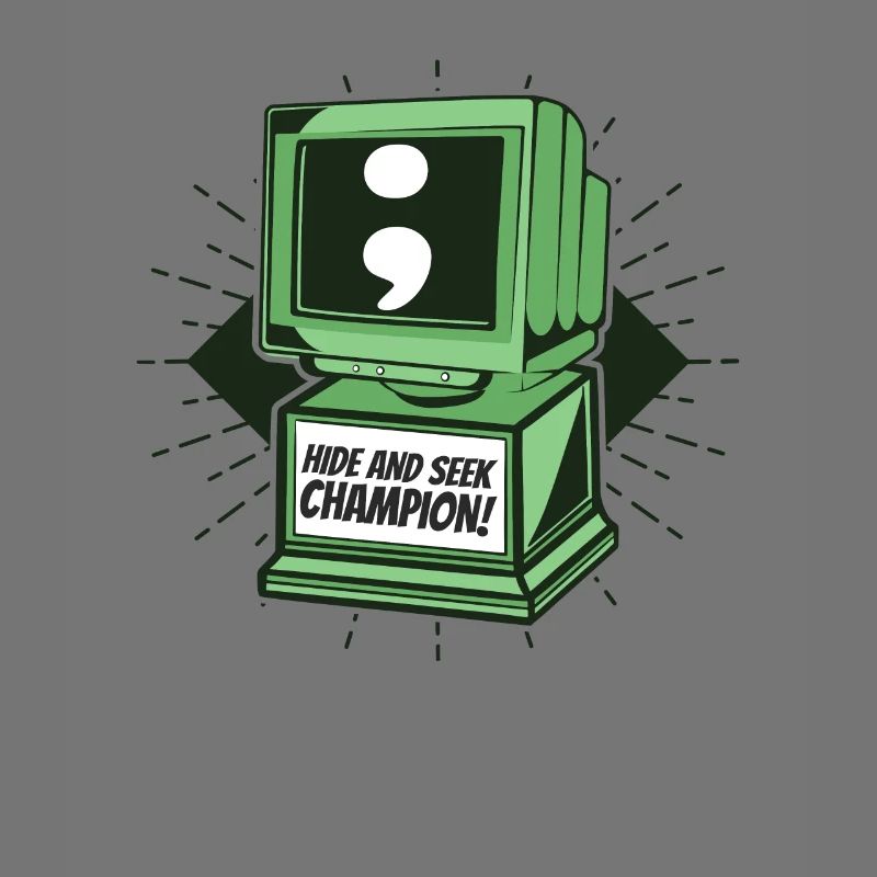 Hide And Seek Champion Softwareingenieur Coder