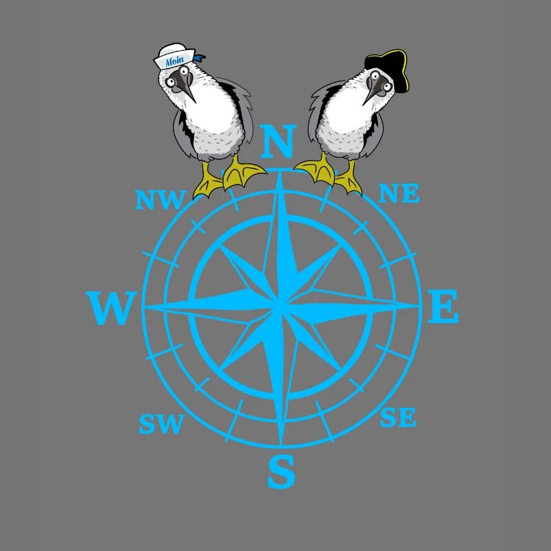 maritim Kompass Möwen Möwe