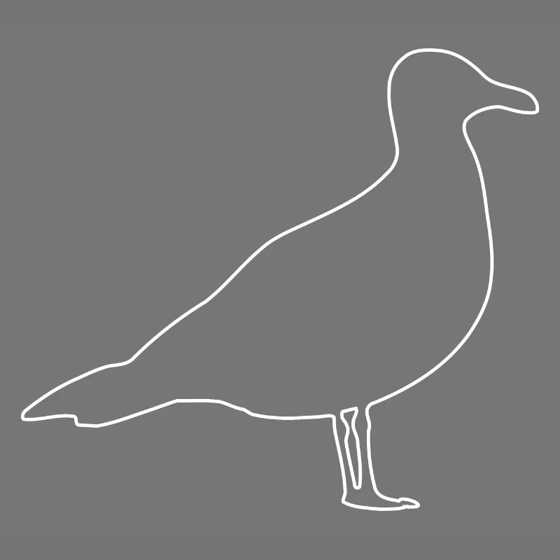 Mouette, Oiseaux, Colombe,
