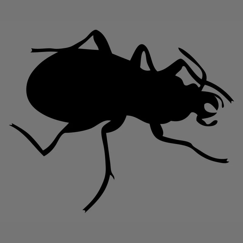 Bug