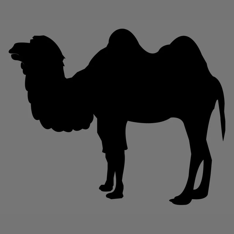 kamel