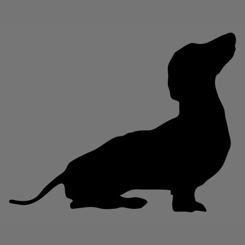 Hund