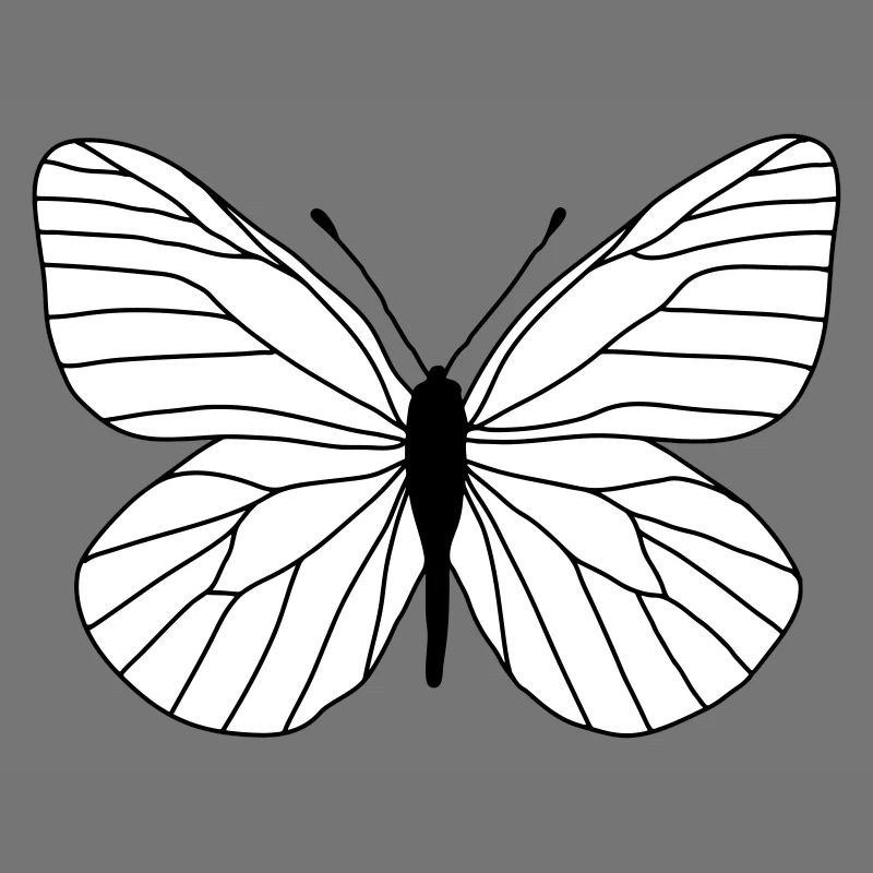 Papillon blanc