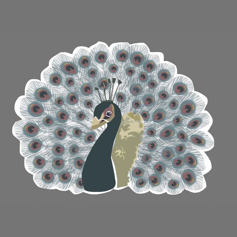 Pfau mit Rad