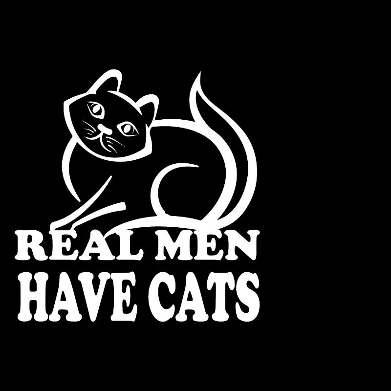 Katze Cat