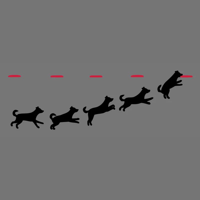 Frisbee dog