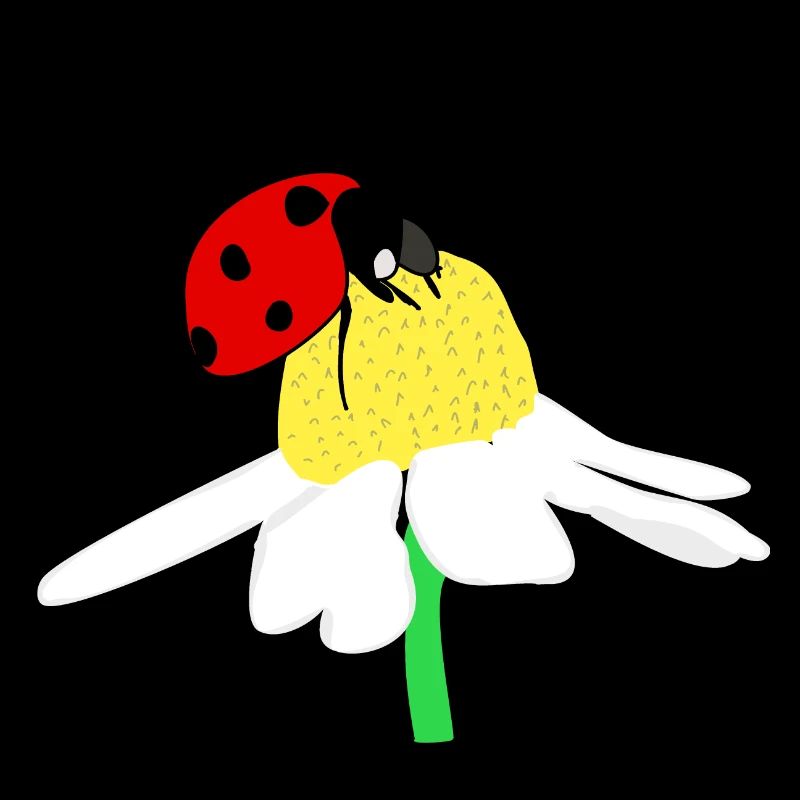 Marienkäfer Glück Gänseblümchen