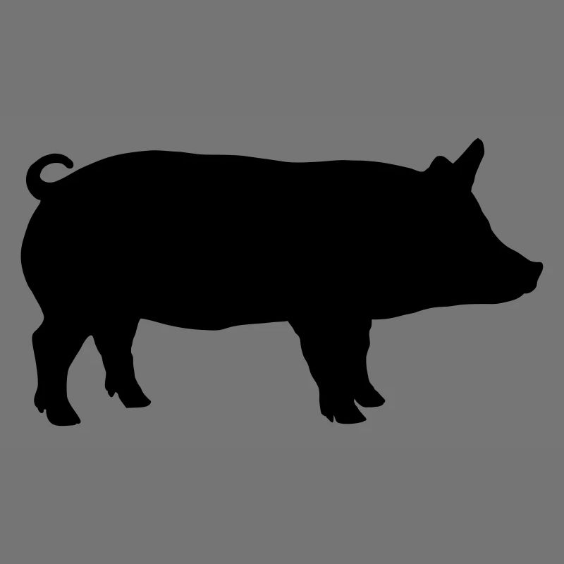 Schwein 1 Farbe