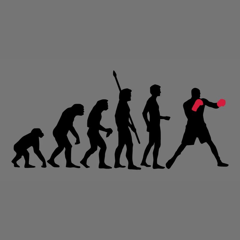 evolution_boxen_b_2c
