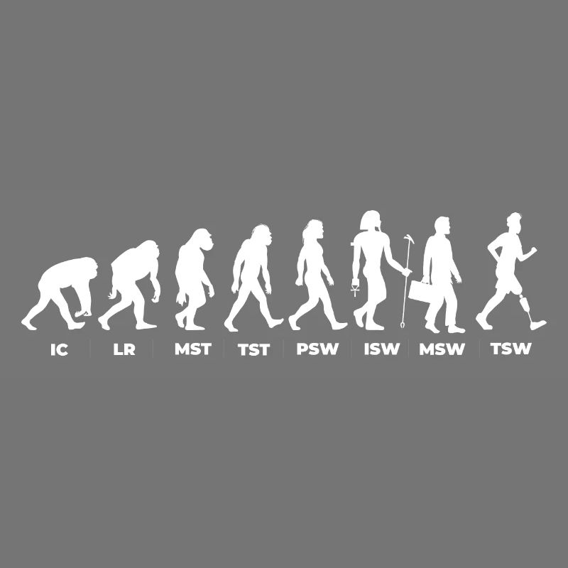 Die Evolution & der Gangzyklus (gOT it!)