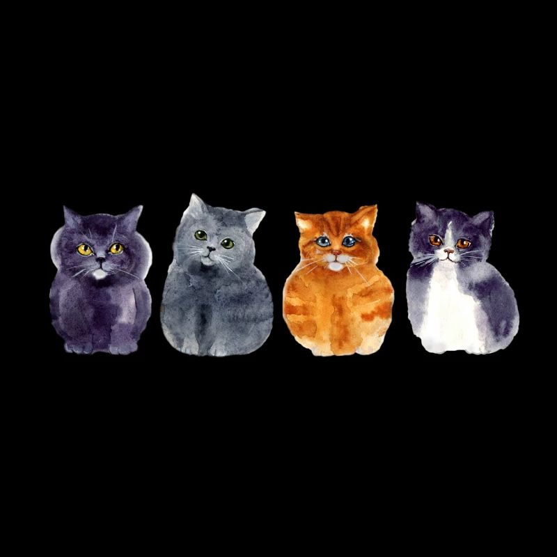 4 cats