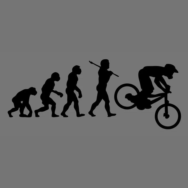 NEW MTB DOWNHILL MOUNTAIN BIKE EVOLUTION