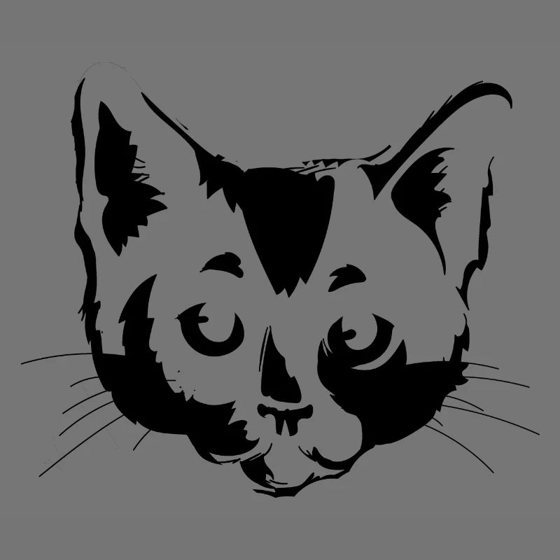 Chats Face Chat Noir Chats Animaux de compagnie
