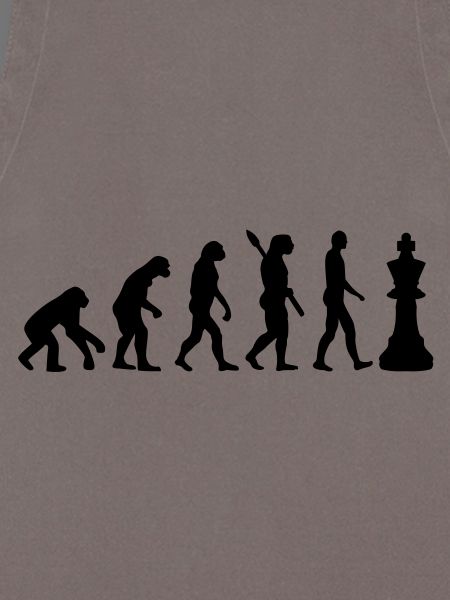 Chess king