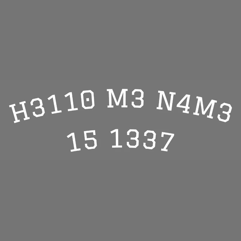 leetspeak leet my name is hello code gamer 1337