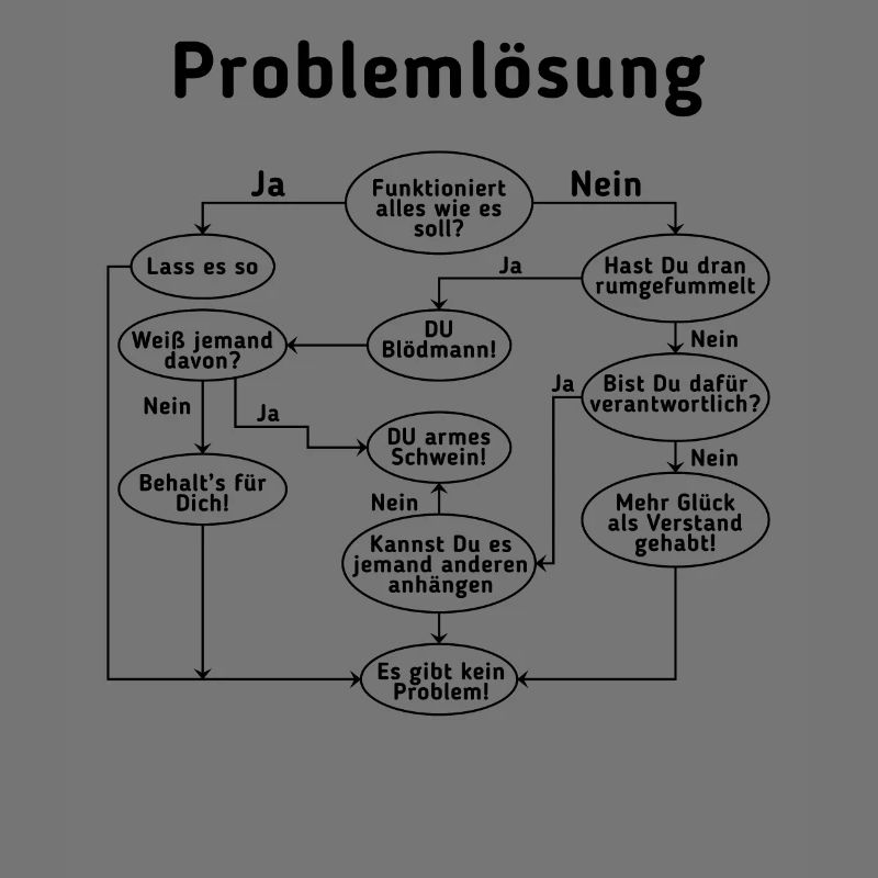 Programmierer Problemlösung Computer Nerd Admin Ge