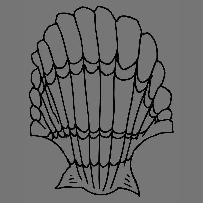 shell