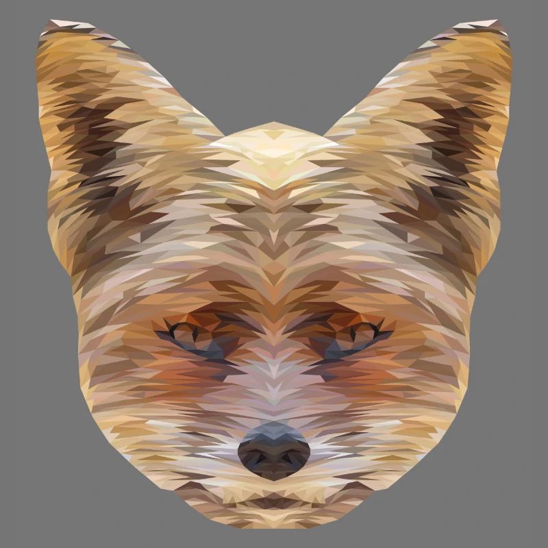 Fox Polygon