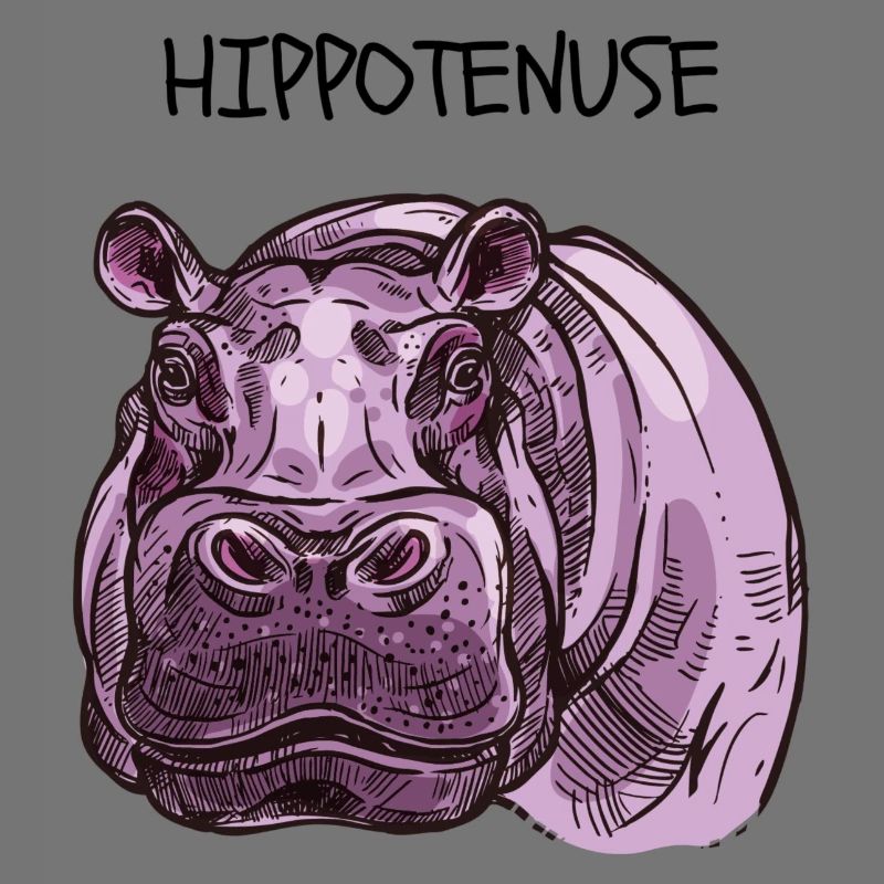 Hippo