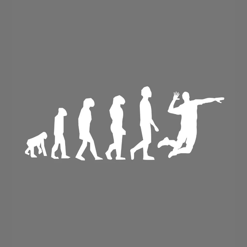 evolution volley