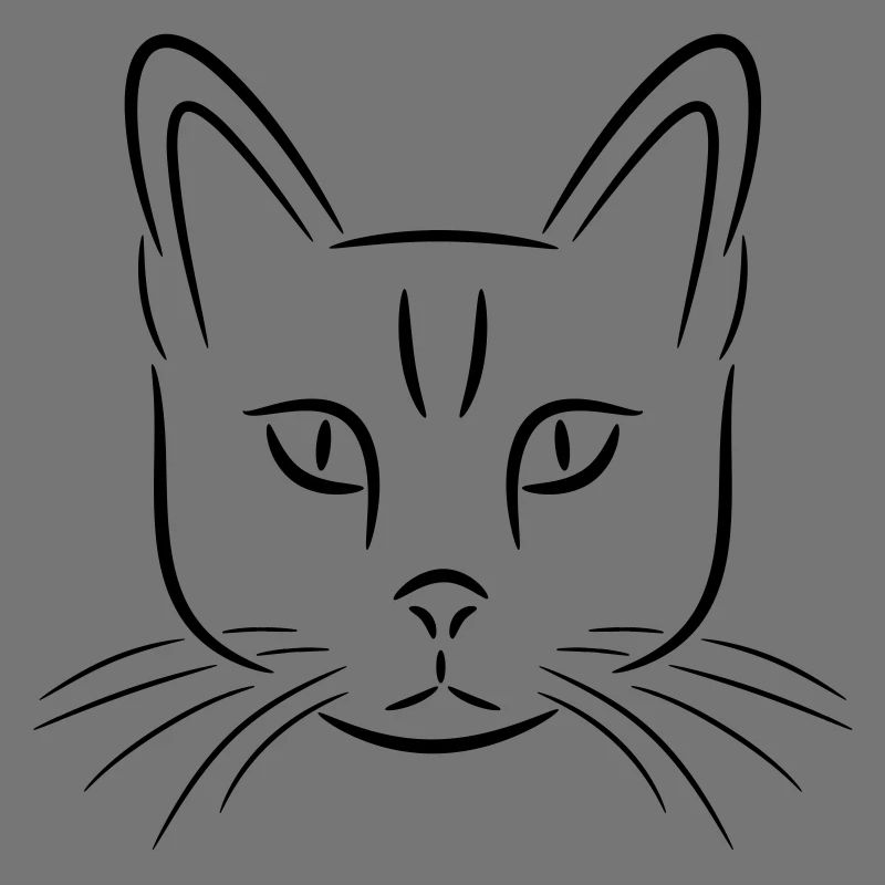 Katze