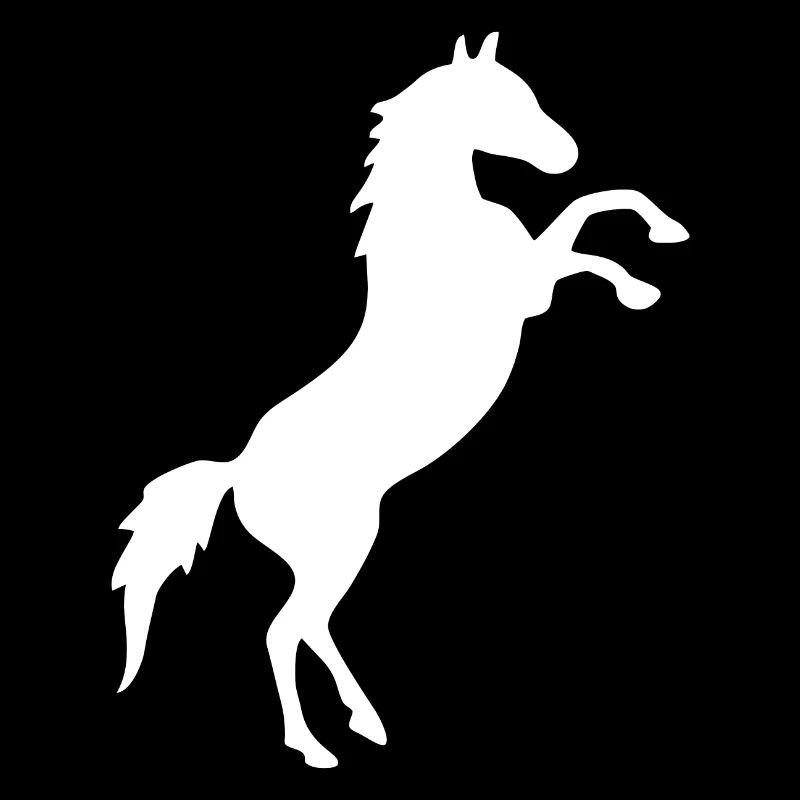 Élevage de chevaux blanc