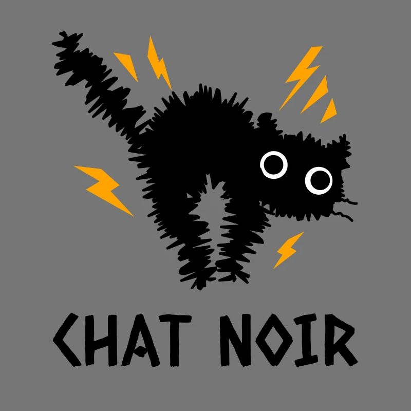 Chat Noir