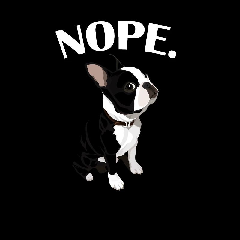 Boston Terrier