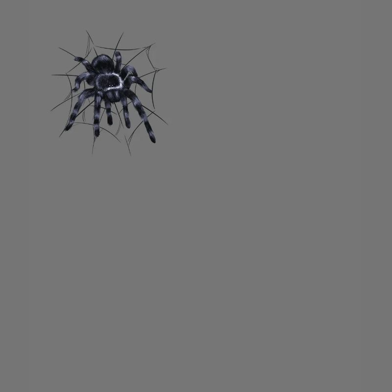 Tarantula large spider with spider web thread
